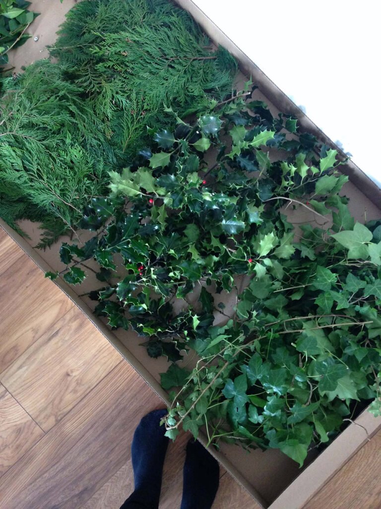 A selection of greenery in a cardboard box